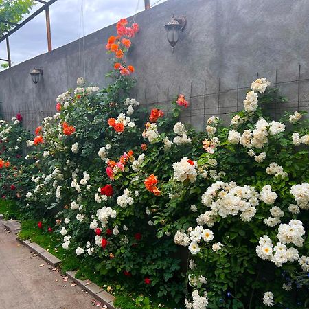 Hillside Guest House يريفان المظهر الخارجي الصورة