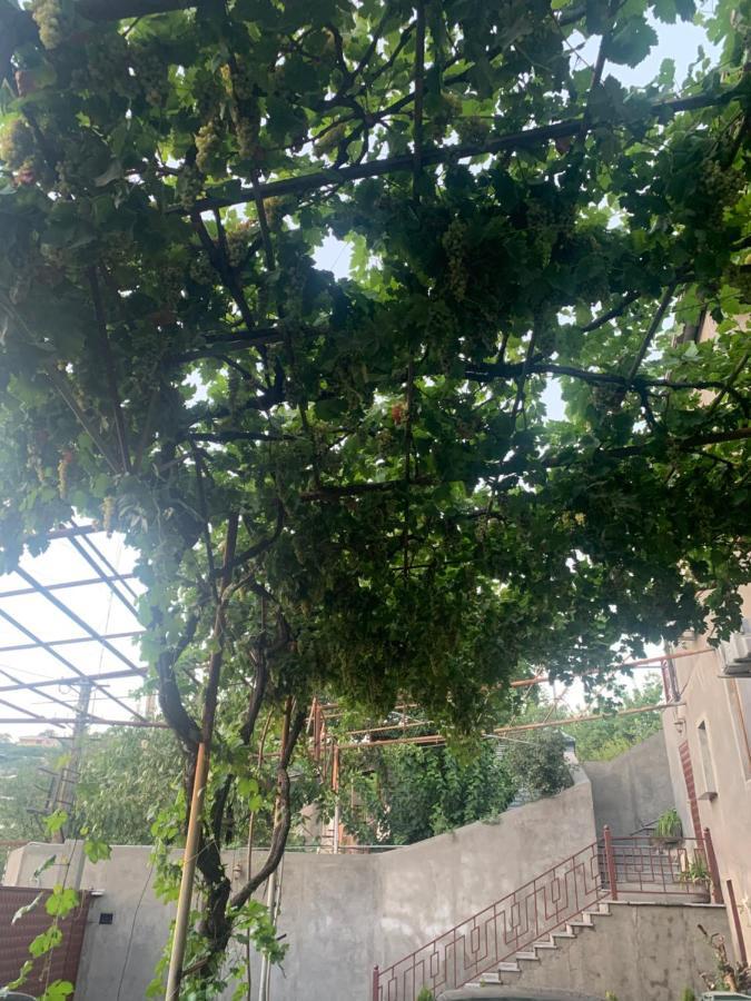 Hillside Guest House يريفان المظهر الخارجي الصورة